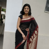 Praneetha hot in transparent black saree | Picture 68337